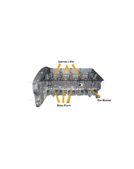 Ford 2400 Duratork TDCi Testa Nuova Nuda H9FA