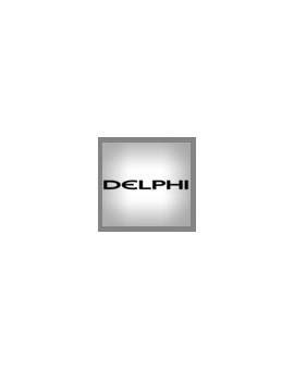 Delphi Pompe Commonrail Revisionate