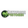 Ford 1600 TDCI 8v Motore Revisionato Semicompleto T1GA