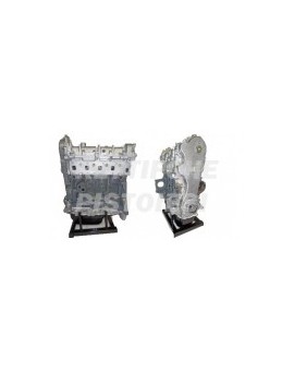 Fiat 1300 multijet Motore Revisionato Semicompleto 263A2000