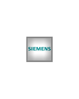 Siemens Iniettori VDO Commonrail Revisionati