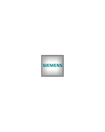 Siemens Iniettori VDO Commonrail Revisionati