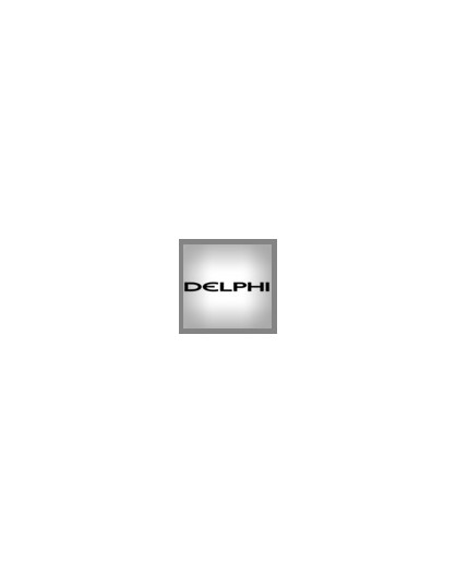 Delphi Pompe Commonrail Revisionate