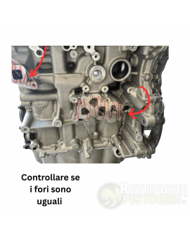 BMW 1600 D Motore Revisionato Semicompleto N47D16A