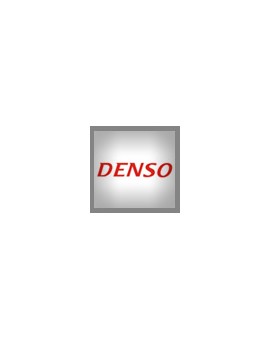 Denso Pompe Commonrail revisionate