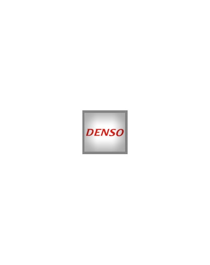 Denso Pompe Commonrail revisionate