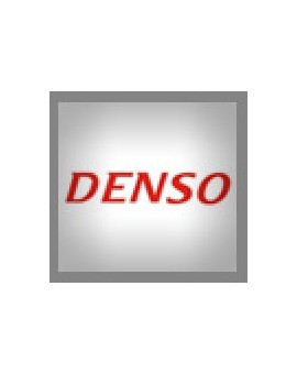 Denso Pompe Commonrail revisionate