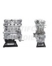 Ford 1600 HDI 16v Motore Revisionato Semicompleto HHDB